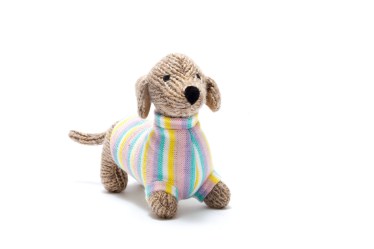 sausage dog in pastel jumper